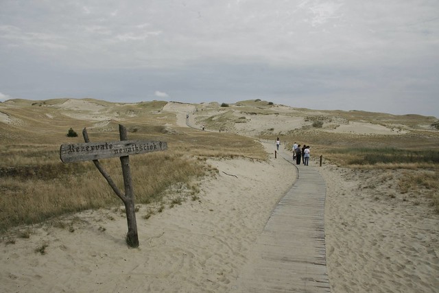 Curland peninsula, nature trail between dunes