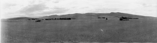 panorama field landscape panoramic culverden nationallibrarynz bexhillpastures