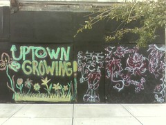 Uptown is Growing!