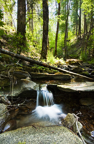 trees mountains nature water creek forest river landscape waterfall woods stream yosemite tuolumne btc btfc berkeleytuolumnecamp