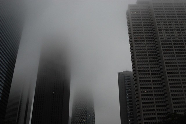 morning fog 04d.JPG