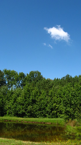 blue trees sky cloud clouds canon day bright alabama sunny august powershot a550