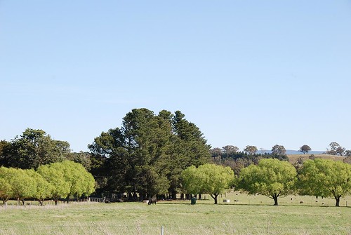 landscape australia
