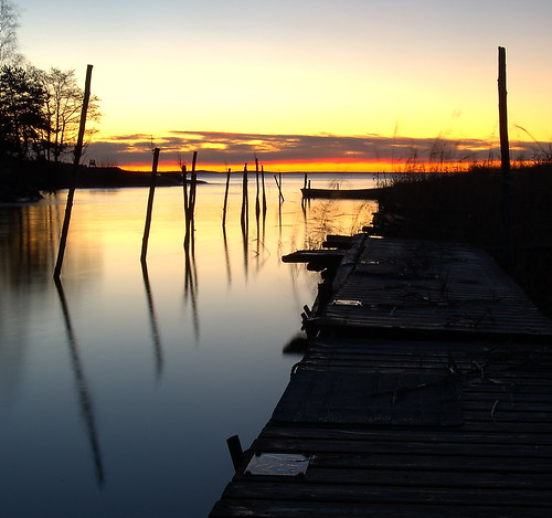 ocean wood sea orange seascape reflection tree grass norway clouds marina sunrise landscape mirror pier wooden weed smooth sharp anchor stick berger bildekritikk