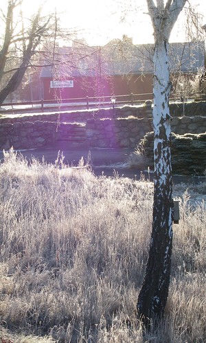 winter cold landscape sweden walk ålem copyrightallrightsreserved peterdejeborn