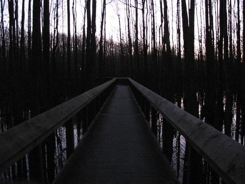 statepark park wood old travel trees usa reflection nature water canon landscapes moody view nightshot state south peaceful powershot historic walkway swamp boardwalk arkansas tranquil louisianapurchase sx10is waltphotos