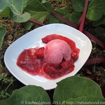 Strawberry Rhubarb Ice Cream