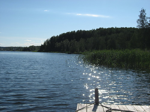 summer water reeds dock sweden