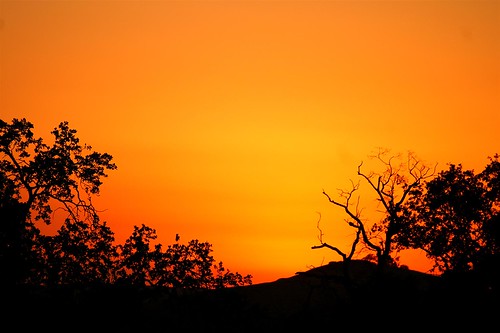 sunset sky orange silhouette catchycolors minolta 5d maxxum eastmanlake