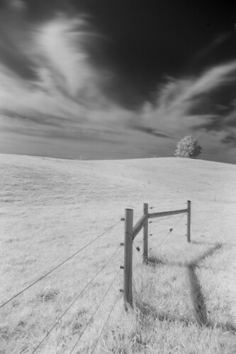 trees sky tree clouds landscape outdoor scenic northcarolina infrared