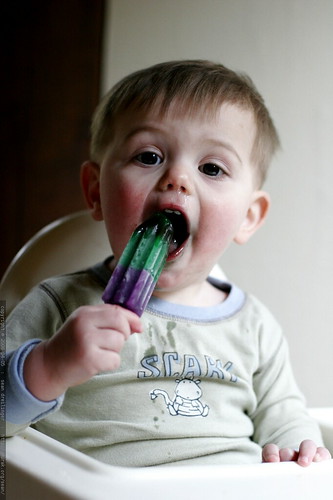 teething on a popsicle    MG 1014
