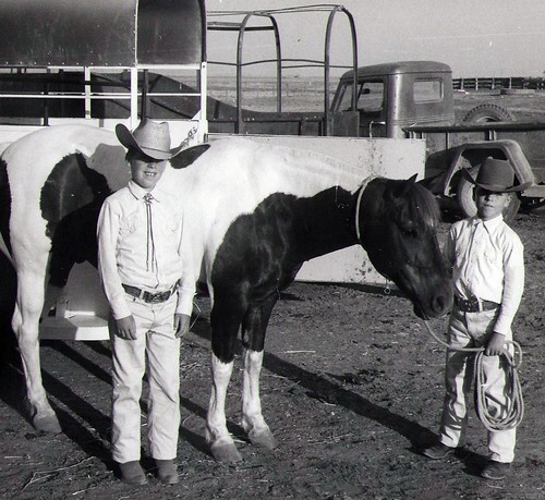 cowboys pony western willys pinto