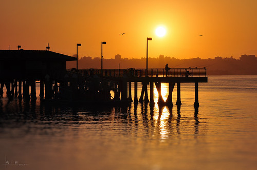 ocean orange sun water silhouette sunrise bay harbor pier fishing fisherman dock downtown sandiego
