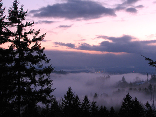 sunset fog forest woodland river washington foggy lewis valley wa lewisriver canons3