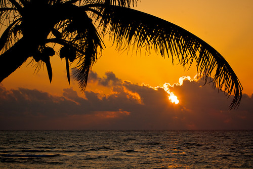 ocean travel vacation orange beach water silhouette clouds sunrise mexico paradise horizon playadelcarmen palm palmtree rivieramaya caribbeansea