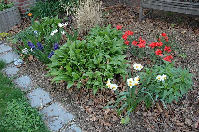 The Front Garden