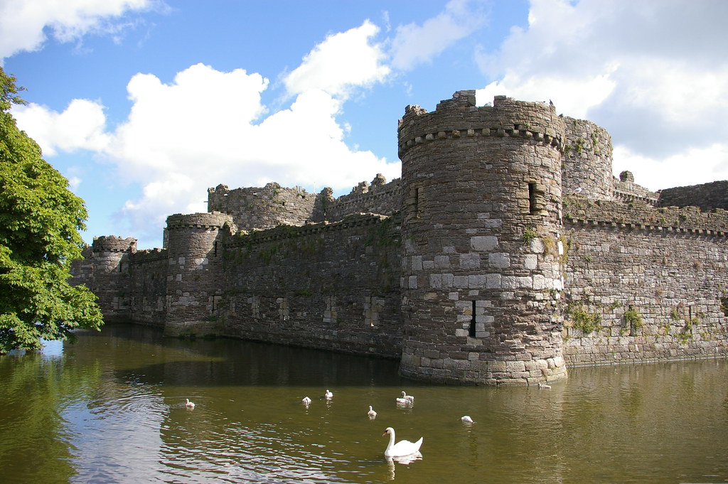 Swans and castle
