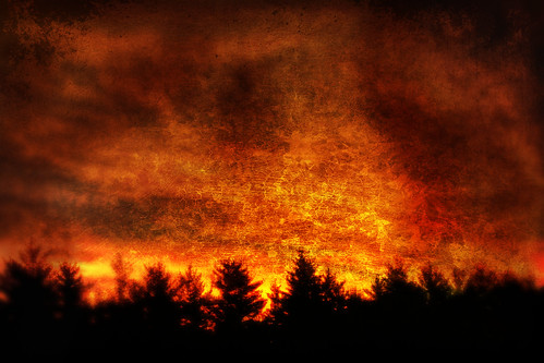 trees orange texture night forest painting landscape fire sadness digitalpainting inferno