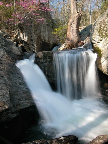 stone creek forest waterfall stream cove falls foster fiery redbud grundy gizzard