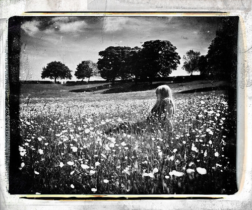 flowers summer blackandwhite bw girl polaroid o meadow fake retro processed treated nikonnikkor50mmf14 d700 bigcans commentsaremostwelcomepointlessoversizedgroupgraphicsarenot