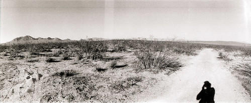 film 35mm landscape desert horizon hp5 hwy395 ilford 202 creosote