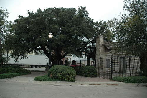 tree texas courthouse 1856 comanche comanchecounty flemingoak oldcora ©2009stevenmwagner