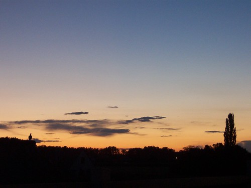 blue sunset summer orange tree home clouds evening pigeon dove atmosphere clear bushes skie italienischepappel