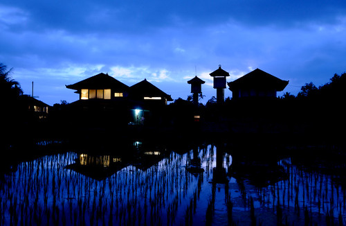 blue sunset bali reflection silhouette indonesia twilight asia dusk ricepaddy magichour ubud locationscout penestanan nylocations samrohn lesamisdupetitprince
