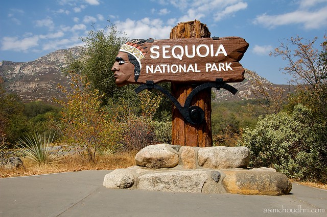 sequoia national park...