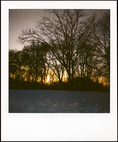 trees winter sunset snow wisconsin polaroid
