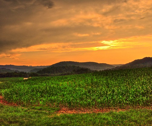 sunset cornfield hdr