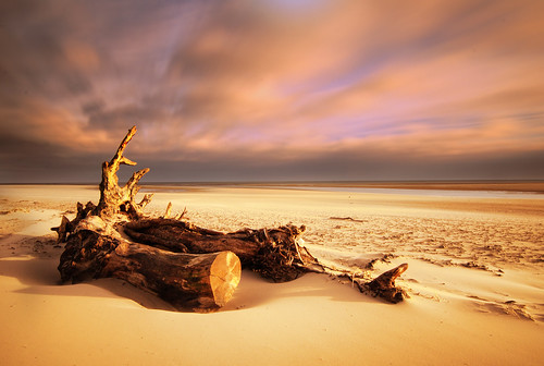 uk longexposure greatbritain england seascape beach landscape log britain northumberland driftwood alnmouth trunk corica