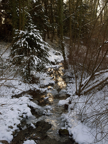 schnee winter snow ice nature creek season jahreszeit natur bach eis bergischgladbach lerbach olympuse3