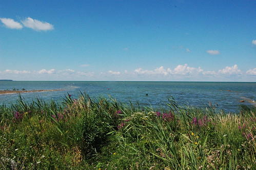 lake ontario canada grass geotagged geo:lat=43141704 geo:lon=82061005