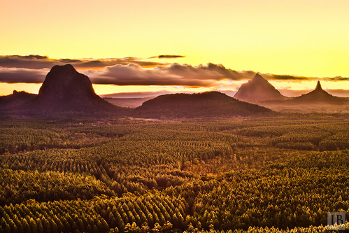 trees sunset mountains yellow pine clouds photoshop canon twilight highway long exposure mask state forrest dusk bruce steve australia joe 7d qld queensland rays dslr glasshouse hdr irwin blend lightroom brosnan beerwah cs5