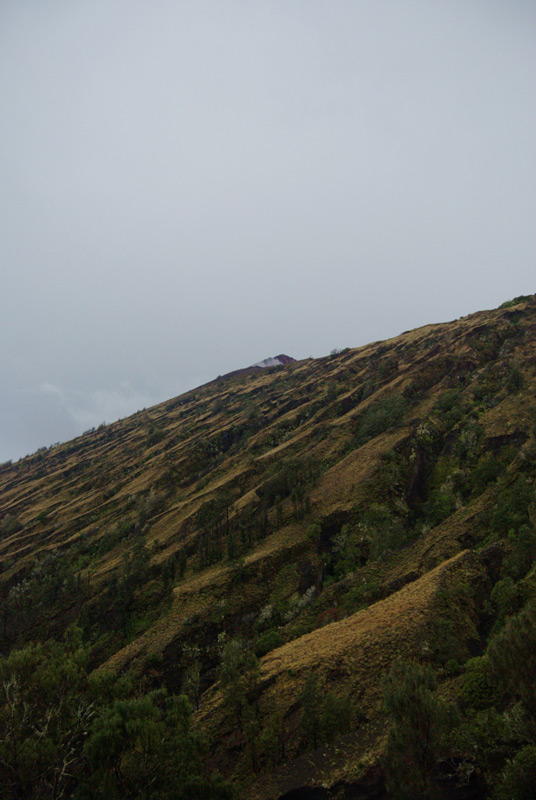 Trek view from Sembalun
