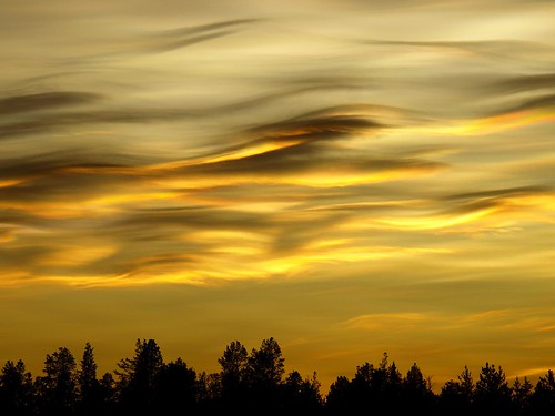 sky tree silhouette clouds sweden himmel sverige träd siluette jokkmokk moln norrbotten theskyisonfire karats mywinners aplusphoto goldstaraward mariaklang
