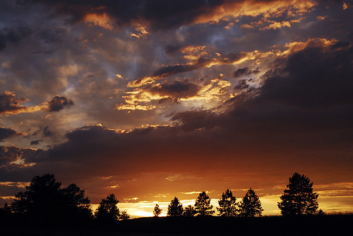 sunset summer orange clouds montana pines pinetrees billings billingsmt