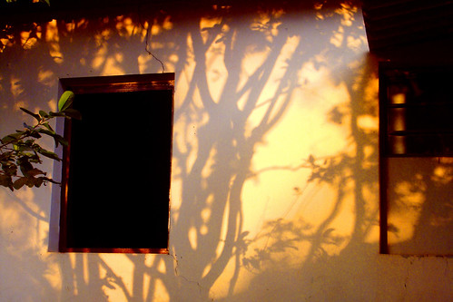 sunset shadow digitalcameraclub