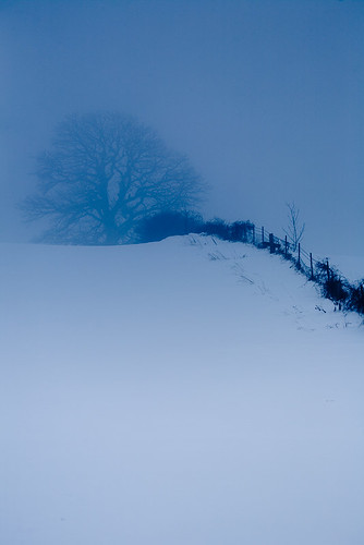 blue winter white mist snow cold tree nature field fog wisconsin rural canon fence landscape midwest december horizon country hill 5d 2008 canoneos5d flickrexplore canonef100400mmf4556lisusm lorenzemlicka