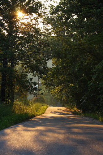 road morning trees shadow sunrise haze missouri lakeoftheozarks silohette