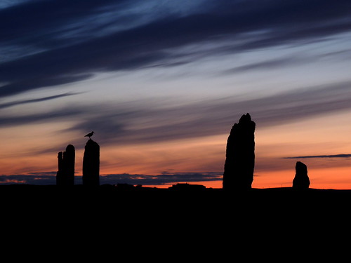 uk greatbritain summer silhouette june night skyscape scotland orkney midsummer stones ring unesco solstice oystercatcher neolithic stonecircle megalith gloaming ringofbrodgar brodgar brogar visitorattraction orcades simmerdim absolutelystunningscapes heartofneolithicorkney heritagesite288