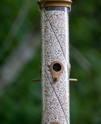 test bird lens feeder olympus om f28 135mm hanimex