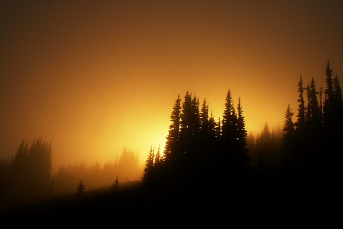 sunset fog forest sunrise landscape nationalpark glow scenic mtrainier subalpine davidhogan
