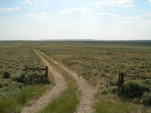 sage wyoming prairie overlandtrail