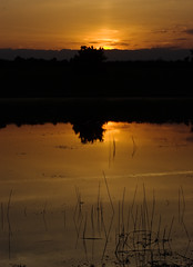 Mogshade Pond  - sunset