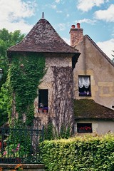 ivy-covered house - Photo of Nérondes