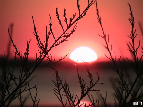 sunset sun mer france sol saint del de la soleil frankreich sonnenuntergang coucher pins puesta loire francia pays atlantique océan brevin mygearandme