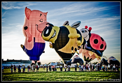 canada balloons pig nikon colours view quebec bee ladybug takeoff hdr richelieu montgolfieres