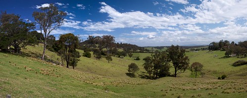 trees sky panorama green grass geotagged bush scenery view australia newsouthwales outback centraltilba 168kmtocentraltilbainnewsouthwalesaustralia geo:lat=36313370 geo:lon=150075317